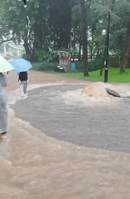 暴雨淹没深圳超1300座公园,体育赛事紧急调整引发全民关注