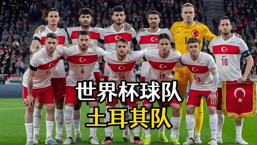世界杯D组乱战：土耳其新星崛起，四强争锋悬念拉满